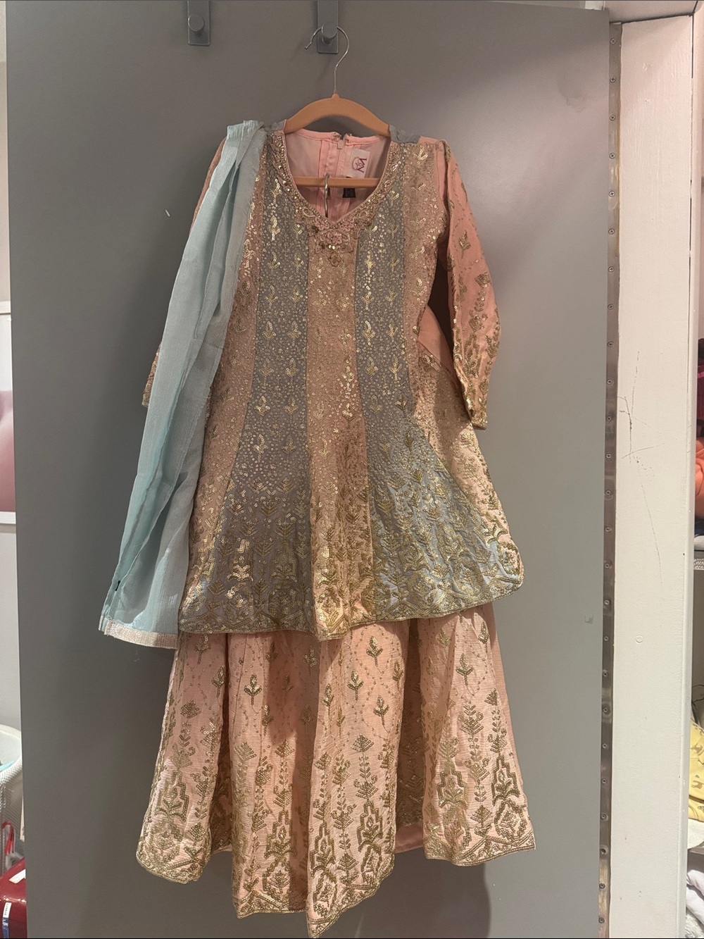 Girls Pink & Light Blue Embellished Sharara